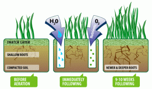 Benefits of aerating